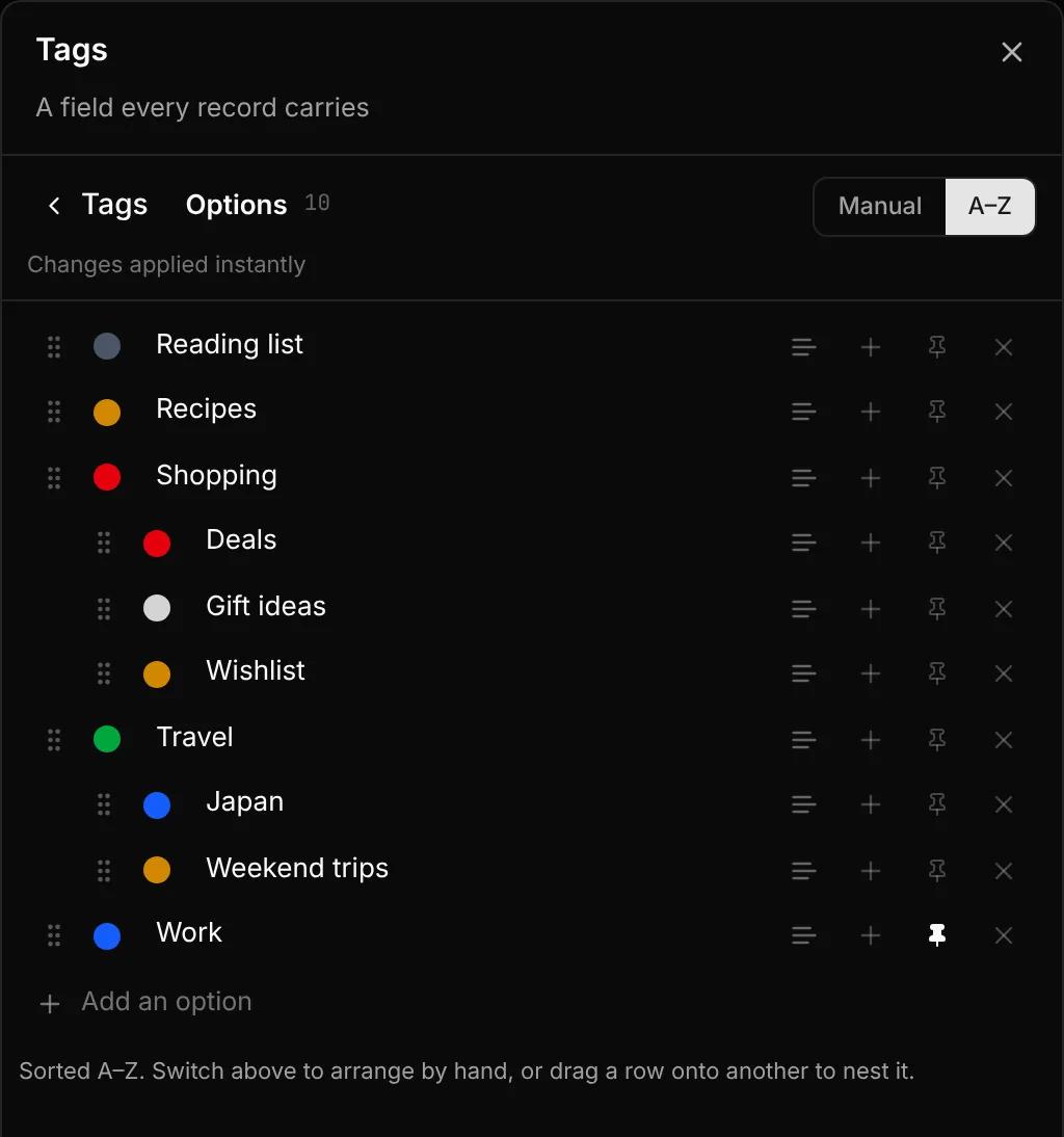The Tags options editor with the Manual and A–Z switch, each option's description, nest, pin and delete buttons, and Add an option